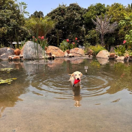 WhatsApp Image 2025-12-04 at 15.08.23